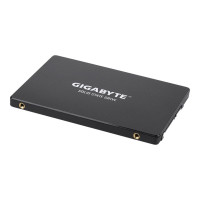 Gigabyte SSD - 256 GB - internal