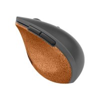 Lenovo Go - Maus - ergonomisch - optisch blau - 6 Tasten - kabellos - 2.4 GHz - kabelloser Empfänger (USB)