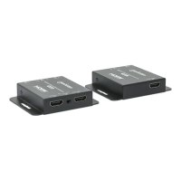 Manhattan Extender Kit - Estensione per video/audio