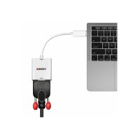 Lindy Videoadapter - Mini DisplayPort (M)