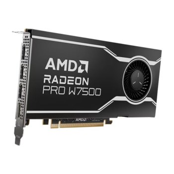 AMD Radeon Pro W7500 - Schede grafiche - Radeon Pro W7500