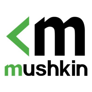 Mushkin ELEMENT - SSD - 256 GB - intern - M.2 2280 - PCIe 3.0 x4 (NVMe)