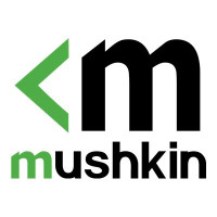 Mushkin ELEMENT - SSD - 2 TB - intern - M.2 2280 - PCIe 3.0 x4 (NVMe)