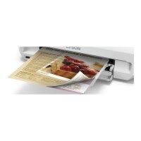 Epson Expression Photo XP-65 - Stampante - colore - fronte/retro - getto dinchiostro - A4/Legal - 5760 x 1440 dpi - fino a 9,5 ppm (mono)/