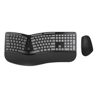 Conceptronic Wireless Keyboard+Mouse ergo Layout US sw