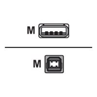 Equip USB-Kabel - USB (M) zu USB Typ B (M)