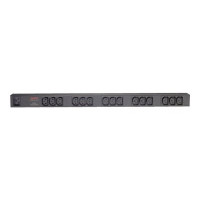 APC Basic Rack PDU Zero U - Ciabatta (installabile in rack)