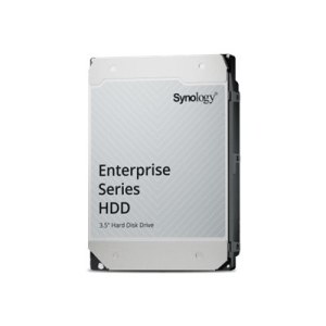 Synology HAS5310 - Festplatte - Enterprise - 20 TB -...