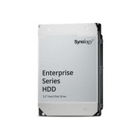 Synology HAS5310 - hard disk - Enterprise - 20 TB - internal - 3.5" (8.9 cm)