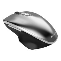 Canyon MW-21 - Maus - Blauer LED-Sensor - ergonomisch - Für Rechtshänder - optisch - 7 Tasten - kabellos - 2.4 GHz - kabelloser Empfänger (USB)