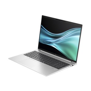 HP EliteBook 865 G11 Notebook - Wolf Pro Security -...