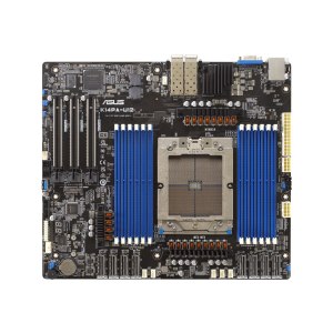 ASUS K14PA-U12 - Motherboard - SSI CEB - AMD keine CPU