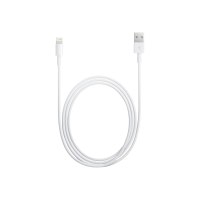 Apple Lightning-Kabel - Lightning männlich zu USB männlich