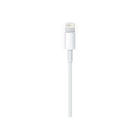 Apple Lightning-Kabel - Lightning männlich zu USB männlich