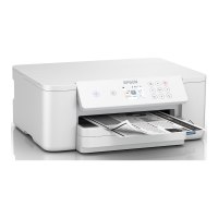 Epson WorkForce Pro WF-M4119DW - Drucker - s/w