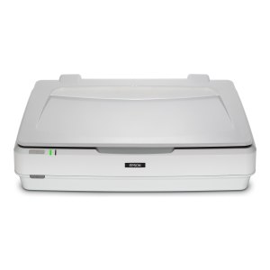 Epson Expression 13000XL - flatbed scanner - A3