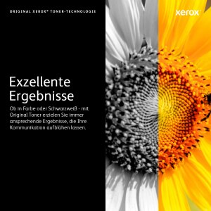 Xerox VersaLink C7020/C7025/C7030 - Mit hoher Kapazität
