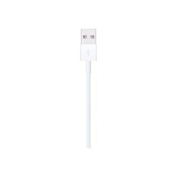 Apple Lightning-Kabel - Lightning männlich zu USB männlich