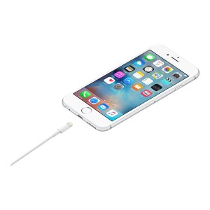 Apple Lightning-Kabel - Lightning männlich zu USB männlich