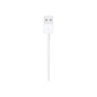 Apple Lightning-Kabel - Lightning männlich zu USB männlich