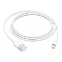 Apple Lightning-Kabel - Lightning männlich zu USB männlich