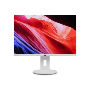 Lenovo C24d-20 - LED-Monitor - 61 cm (24") - 1920 x...