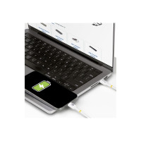 StarTech.com Cavo di ricarica USB C da 2 m, cavo USB-IF certificato USB-C, 240 W - Cavo USB - USB-C a 24 pin (M)