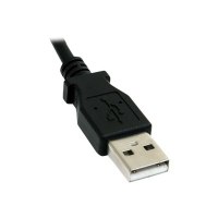 StarTech.com 6 ft Smart UPS Replacement USB Cable AP9827 - USB cable - USB (M)