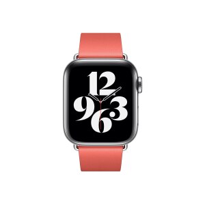 Apple 40mm Modern Buckle - Uhrarmband für Smartwatch