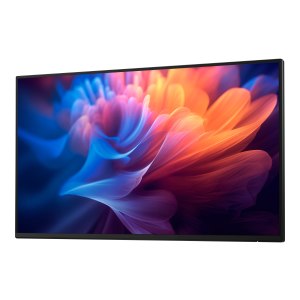 Dell P2725H - Ohne Standfuß - LED-Monitor - 68.6 cm (27")