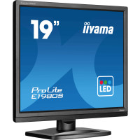 Iiyama 19" LCD 5:4 TN - flat screen monitor (TFT/LCD) - 19"