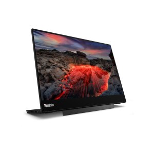 Lenovo ThinkVision M14t Gen 2 - LED-Monitor - 35.6 cm (14")