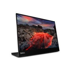 Lenovo ThinkVision M14t Gen 2 - LED-Monitor - 35.6 cm (14")