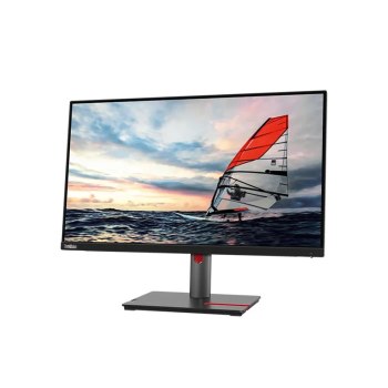 Lenovo ThinkVision P25i-30 - Monitor LED - 25"