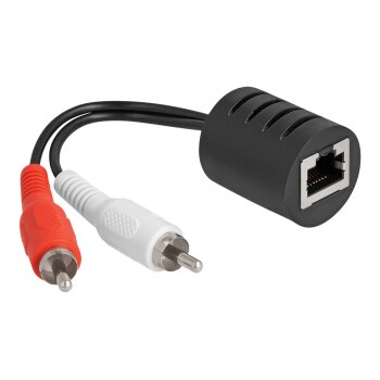 Delock Audio-Adapter - RJ-45 weiblich zu RCA x 2 männlich - Schwarz (Packung mit 2)