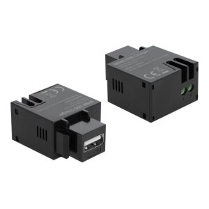 Delock Keystone module - Modulare Eingabe - USB-Ladefunktion