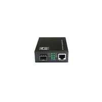 LevelOne Konverter GVT-2051 10GBit>RJ45 to SFP+ sw - Converter