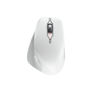 Cherry STREAM MOUSE COMFORT - Mouse - ergonomico - per destrorsi - ottico - 6 pulsanti - senza fili - 2,4 GHz - ricevitore wireless (USB)