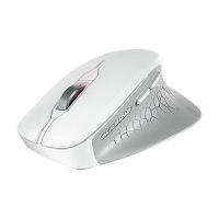 Cherry STREAM MOUSE COMFORT - Maus - ergonomisch - Für Rechtshänder - optisch - 6 Tasten - kabellos - 2.4 GHz - kabelloser Empfänger (USB)