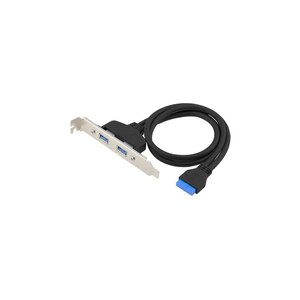 Conceptronic EMRICK11B 19 Pin Female to Dual USB-A Female...