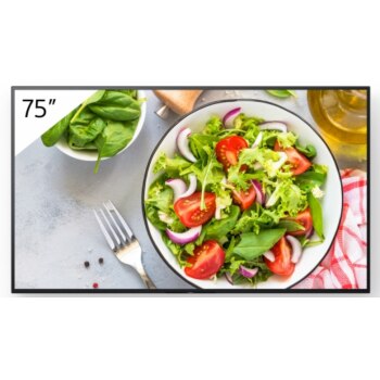 Sony Bravia Professional Display FW-75BZ35L 75 Zoll