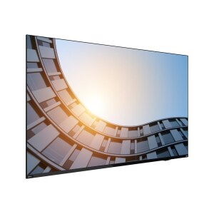 Lenovo ThinkVision E65 LFD Display 65 Zoll