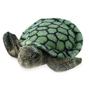 Aurora MF SPLISH-SPLASH SEA TURTLE