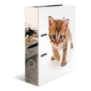 HERMA Ordner A4 Karton Katze