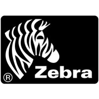 Zebra Z-Perform 1000D - Papier - permanenter Klebstoff - unbeschichtet - 76 x 25 mm 31080 Etikett(en) (6 Rolle(n)