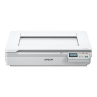 Epson WorkForce DS-50000N - Flachbettscanner