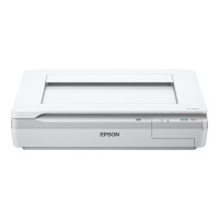 Epson WorkForce DS-50000 - Flachbettscanner - A3 - 600 dpi x 600 dpi - bis zu 4 Seiten/Min. (einfarbig)