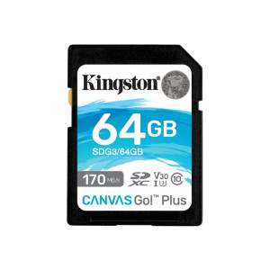 Kingston Canvas Go! Plus flash memory card