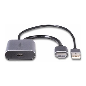 Lindy Videoumwandler - USB-C - Grau