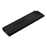 Kingston 256GB DataTraveler Max USB-C-Stick